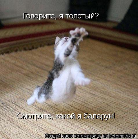 Говорите, я толстый? Смотрите, какой я балерун!... Котоматрица: Говорите, я толстый? Смотрите, какой я балерун!