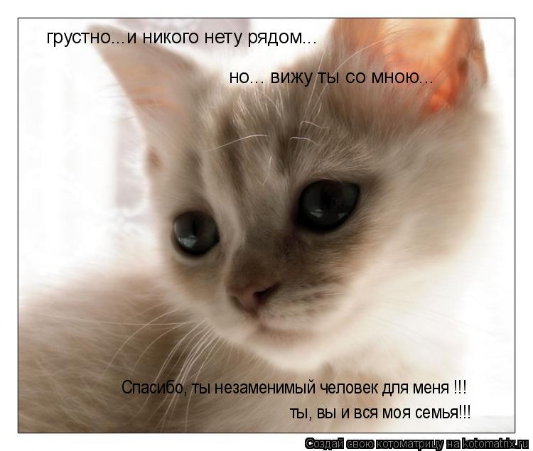 Котоматрица: грустно...и никого нету рядом... но... вижу ты со мною... Спасибо, ты незаменимый человек для меня !!! ты, вы и вся моя семья!!!