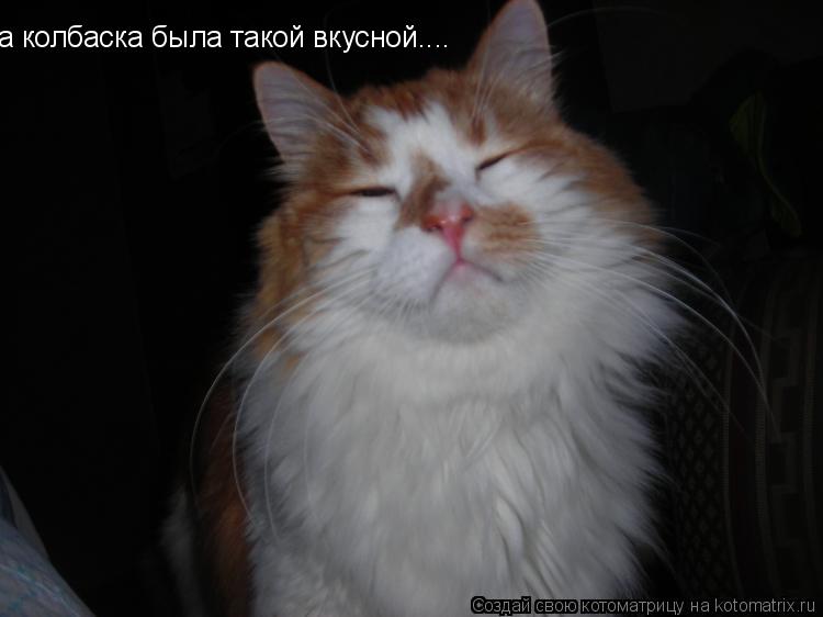а колбаска была такой вкусной....... Котоматрица: а колбаска была такой вкусной....