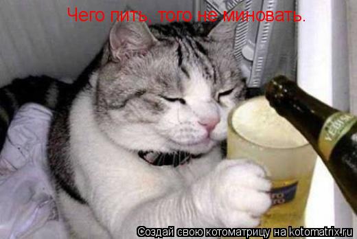 Чего пить, того не миновать.... Котоматрица: Чего пить, того не миновать.
