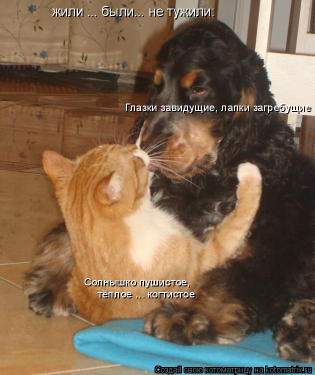 Котоматрица: Солнышко пушистое, жили ... были... не тужили: Глазки завидущие, лапки загребущие тёплое ... когтистое