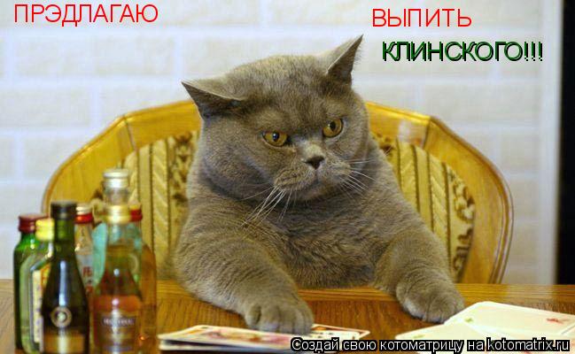 Котоматрица: ПРЭДЛАГАЮ ВЫПИТЬ КЛИНСКОГО!!!