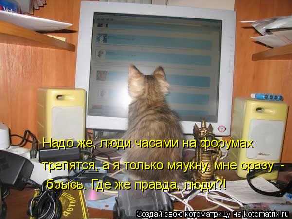 брысь. Где же правда, люди?! трепятся, а я только мяукну, мне сразу - Надо же, люди часами на форум... Котоматрица: брысь. Где же правда, люди?! трепятся, а я только мяукну, мне сразу - Надо же, люди часами на форумах