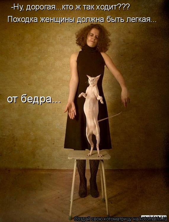 -Ну, дорогая...кто ж так ходит??? Походка женщины должна быть легкая... от бедра...... Котоматрица: -Ну, дорогая...кто ж так ходит??? Походка женщины должна быть легкая... от бедра...