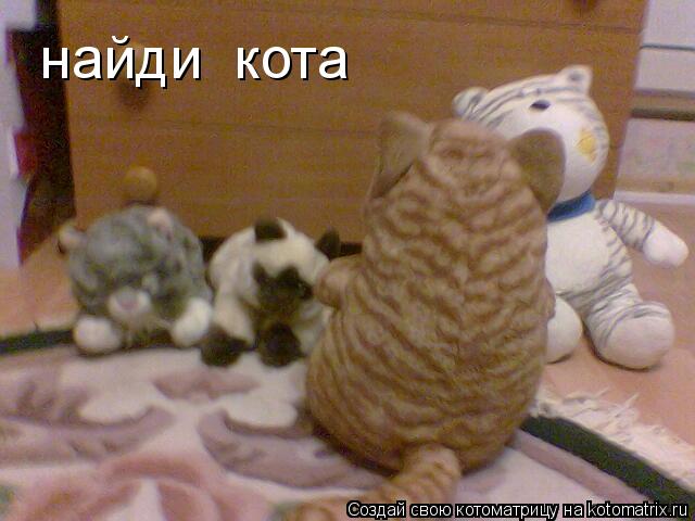 Котоматрица: найди  кота