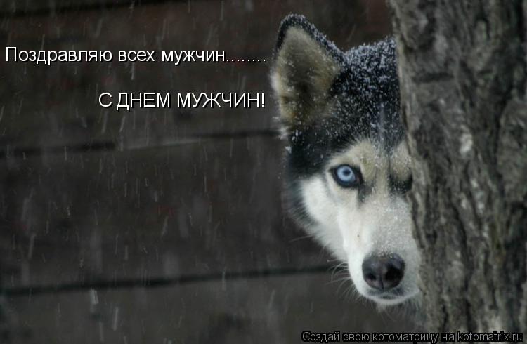 Поздравляю всех мужчин........ С ДНЕМ МУЖЧИН!... Котоматрица: Поздравляю всех мужчин........ С ДНЕМ МУЖЧИН!
