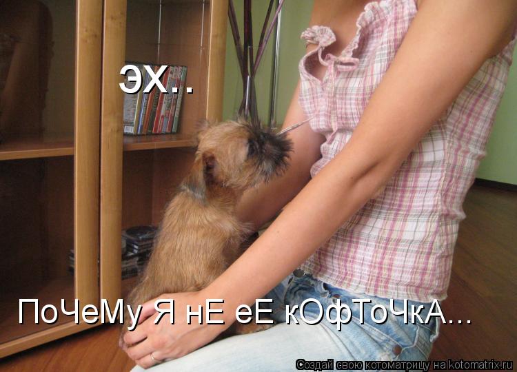 Котоматрица: эх.. ПоЧеМу Я нЕ еЕ кОфТоЧкА...