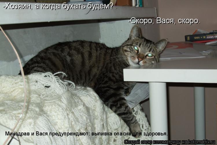 Котоматрица: -Хозяин, а когда бухать будем? -Скоро, Вася, скоро. Минздрав и Вася предупреждают: выпивка опасна для здоровья.