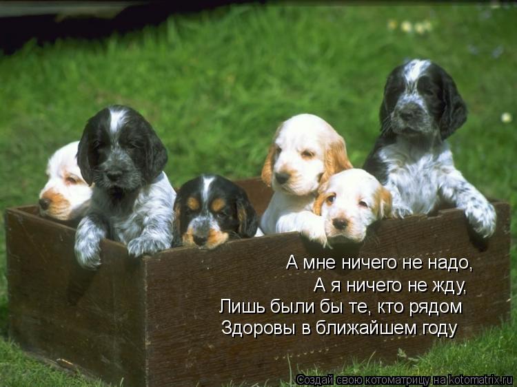 А мне ничего не надо, А я ничего не жду, Лишь были бы те, кто рядом Здоровы в ближайшем году... Котоматрица: А мне ничего не надо, А я ничего не жду, Лишь были бы те, кто рядом Здоровы в ближайшем году