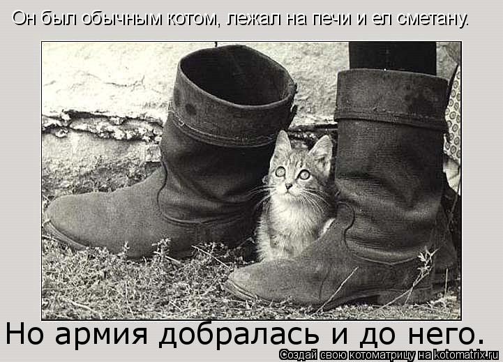 Он был обычным котом, лежал на печи и ел сметану. Но армия добралась и до него.... Котоматрица: Он был обычным котом, лежал на печи и ел сметану. Но армия добралась и до него.