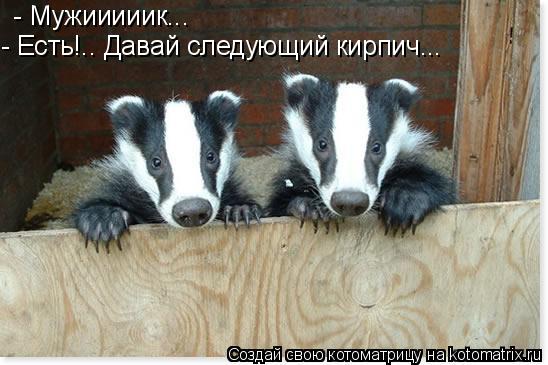 - Мужииииик... - Есть!.. Давай следующий кирпич...... Котоматрица: - Мужииииик... - Есть!.. Давай следующий кирпич...