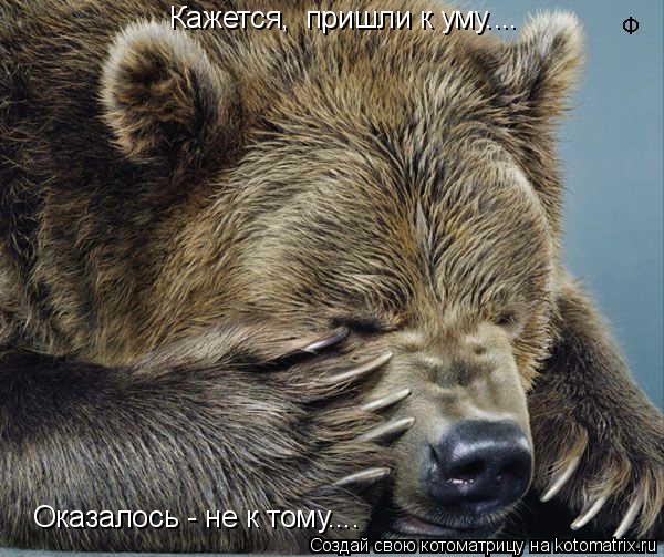 Кажется, пришли к уму.... Оказалось - не к тому....... Котоматрица: Кажется, пришли к уму.... Оказалось - не к тому....