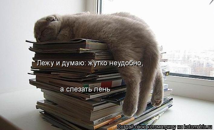 Лежу и думаю: жутко неудобно, а слезать лень... Котоматрица: Лежу и думаю: жутко неудобно, а слезать лень