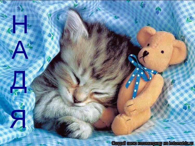 Н А Д Я... Котоматрица: Н А Д Я
