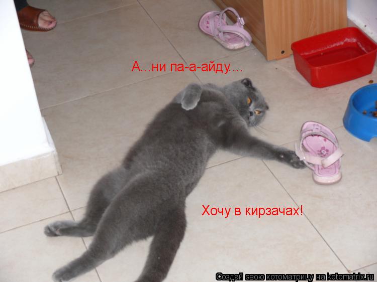 А...ни па-а-айду.... Хочу в кирзачах!... Котоматрица: А...ни па-а-айду.... Хочу в кирзачах!