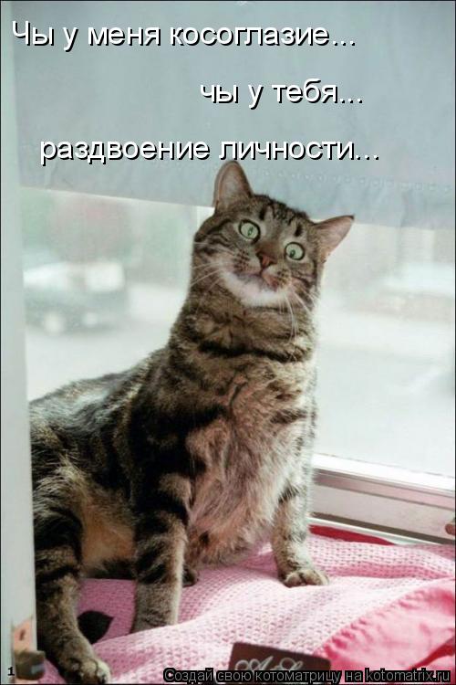 Чы у меня косоглазие... чы у тебя... раздвоение личности...... Котоматрица: Чы у меня косоглазие... чы у тебя... раздвоение личности...