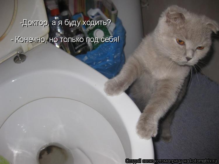 -Доктор, а я буду ходить? - Конечно, но только под себя!... Котоматрица: -Доктор, а я буду ходить? - Конечно, но только под себя!