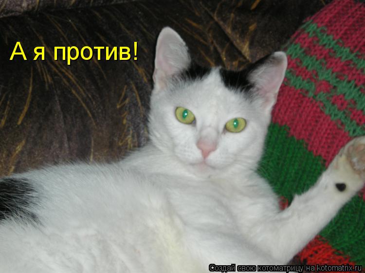 А я против!... Котоматрица: А я против!
