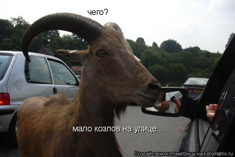 чего? мало козлов на улице...... Котоматрица: чего? мало козлов на улице...
