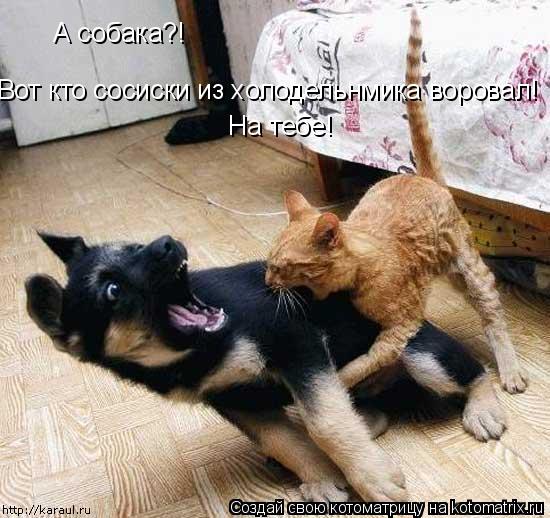 А собака?! Вот кто сосиски из холодельнмика воровал! На тебе!... Котоматрица: А собака?! Вот кто сосиски из холодельнмика воровал! На тебе!