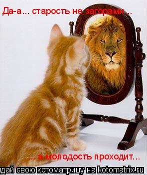 Да-а... старость не загорами... ... а молодость проходит...... Котоматрица: Да-а... старость не загорами... ... а молодость проходит...