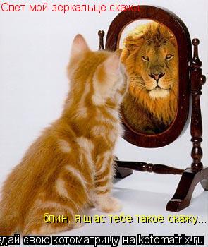 Свет мой зеркальце скажи... блин, я щас тебе такое скажу...... Котоматрица: Свет мой зеркальце скажи... блин, я щас тебе такое скажу...