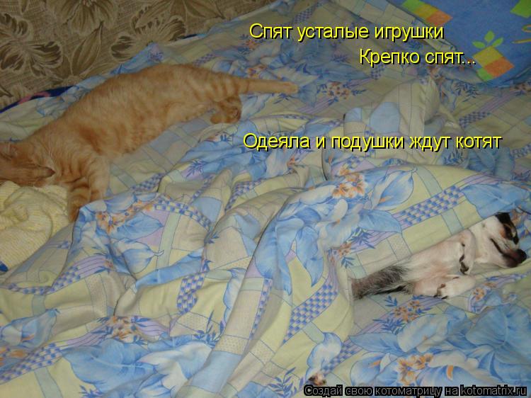 Спят усталые игрушки Одеяла и подушки ждут котят Крепко спят...... Котоматрица: Спят усталые игрушки Одеяла и подушки ждут котят Крепко спят...
