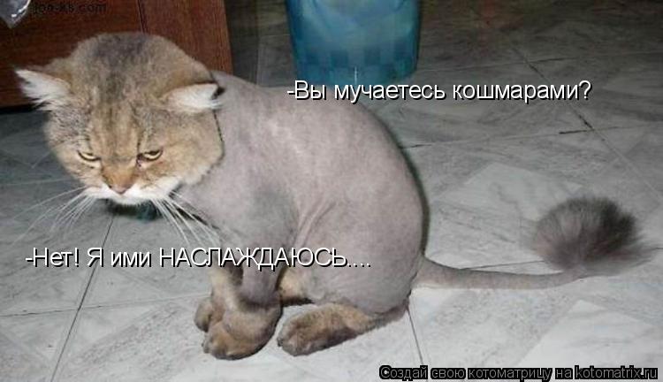 -Вы мучаетесь кошмарами? -Нет! Я ими НАСЛАЖДАЮСЬ....... Котоматрица: -Вы мучаетесь кошмарами? -Нет! Я ими НАСЛАЖДАЮСЬ....