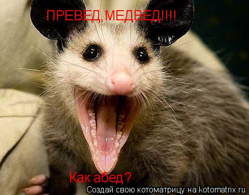 ПРЕВЕД,МЕДВЕД!!!! Как абед?... Котоматрица: ПРЕВЕД,МЕДВЕД!!!! Как абед?