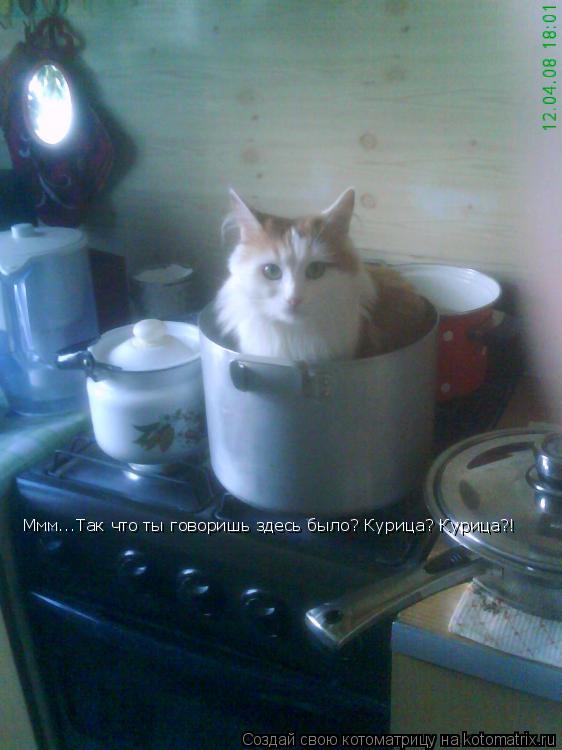 Ммм...Так что ты говоришь здесь было? Курица? Курица?!... Котоматрица: Ммм...Так что ты говоришь здесь было? Курица? Курица?!