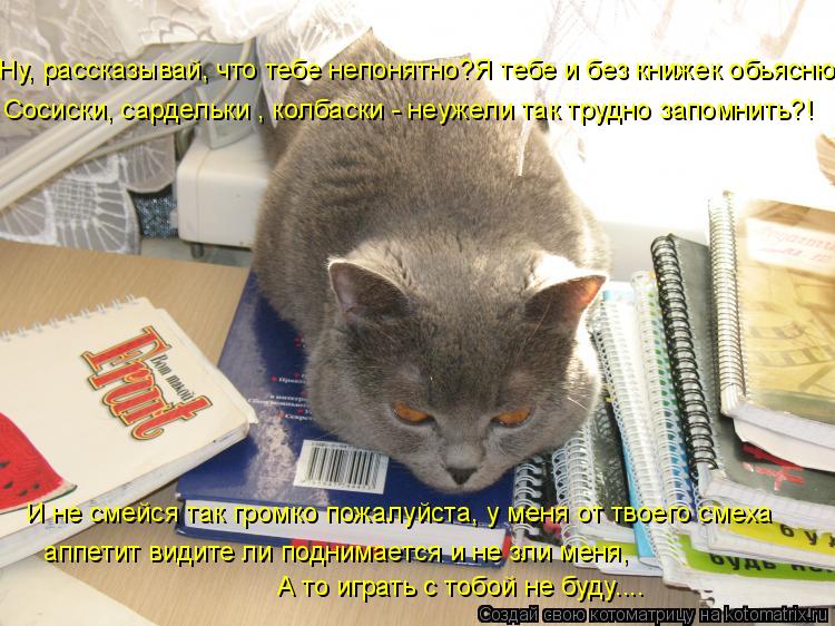 Ну, рассказывай, что тебе непонятно?Я тебе и без книжек обьясню Сосиски, сардельки , колбаски - неуже... Котоматрица: Ну, рассказывай, что тебе непонятно?Я тебе и без книжек обьясню Сосиски, сардельки , колбаски - неужели так трудно запомнить?! И не смейся так