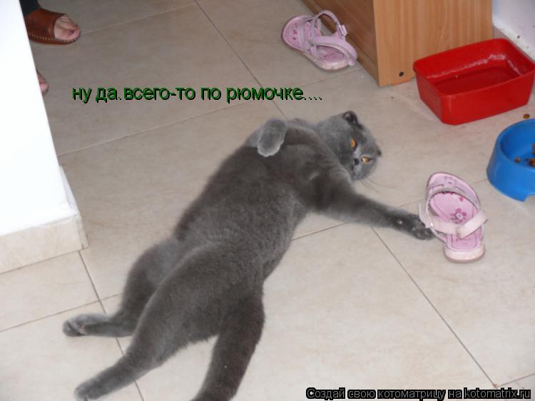 ну да.всего-то по рюмочке....... Котоматрица: ну да.всего-то по рюмочке....