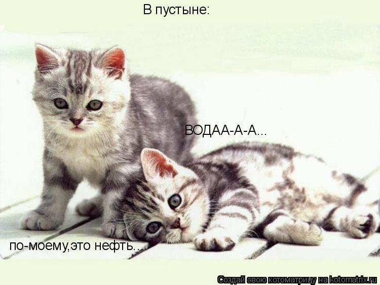 В пустыне: ВОДАА-А-А... по-моему,это нефть...... Котоматрица: В пустыне: ВОДАА-А-А... по-моему,это нефть...