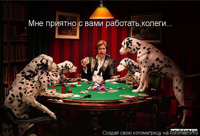 Мне приятно с вами работать,колеги...... Котоматрица: Мне приятно с вами работать,колеги...