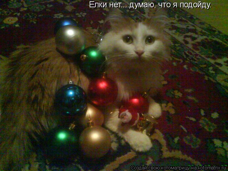 Елки не было....думаю, что я подойду. Снаступающим Новым годом!!! Елки нет....думаю, что я подойду.... Котоматрица: Елки не было....думаю, что я подойду. Снаступающим Новым годом!!! Елки нет....думаю, что я подойду.