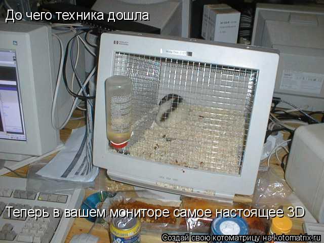 До чего техника дошла Теперь в вашем мониторе самое настоящее 3D... Котоматрица: До чего техника дошла Теперь в вашем мониторе самое настоящее 3D