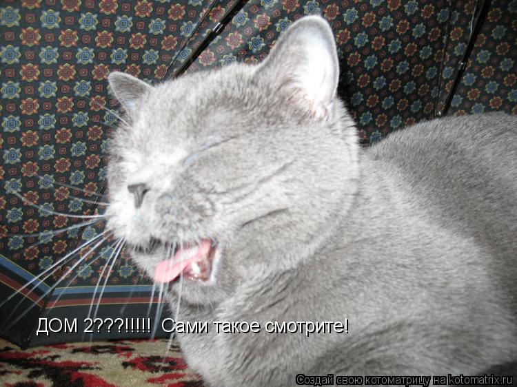 ДОМ 2???!!!!! Сами такое смотрите!... Котоматрица: ДОМ 2???!!!!! Сами такое смотрите!