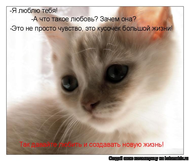 -А что такое любовь? Зачем она? -Это не просто чувство, это кусочек большой жизни! Так давайте любить... Котоматрица: -А что такое любовь? Зачем она? -Это не просто чувство, это кусочек большой жизни! Так давайте любить и создавать новую жизнь! -Я люблю тебя!