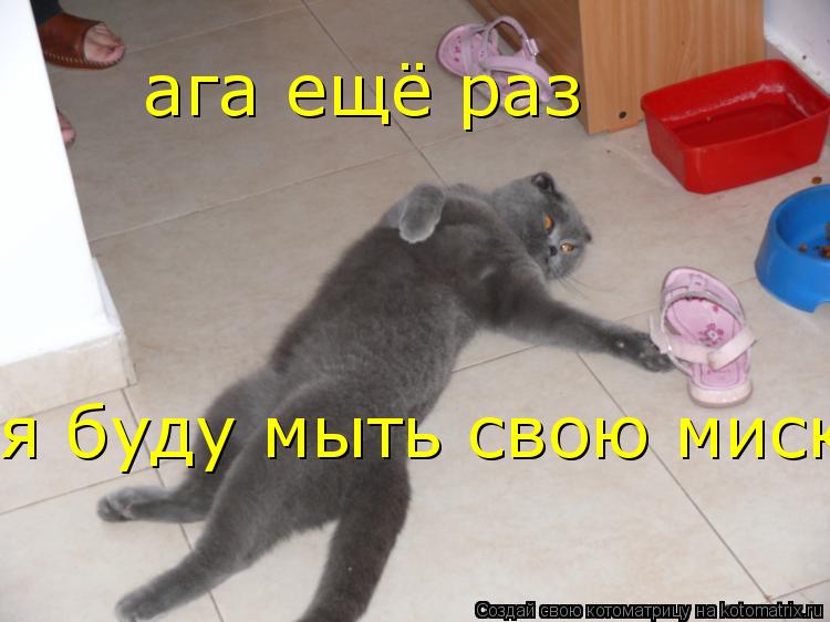 ага ещё раз я буду мыть свою миску... Котоматрица: ага ещё раз я буду мыть свою миску