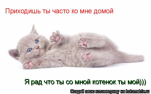 Приходишь ты часто ко мне домой Я рад что ты со мной котенок ты мой)))... Котоматрица: Приходишь ты часто ко мне домой Я рад что ты со мной котенок ты мой)))