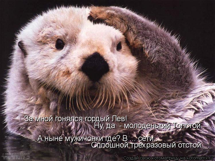 За мной гонялся гордый Лев! Ну, да - молоденький Толстой. А ныне мужичонки где? В ... сети... Спло... Котоматрица: За мной гонялся гордый Лев! Ну, да - молоденький Толстой. А ныне мужичонки где? В ... сети... Сплошной трёхразовый отстой....