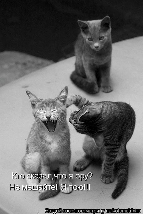 Кто сказал,что я ору? Не мешайте! Я пою!!!... Котоматрица: Кто сказал,что я ору? Не мешайте! Я пою!!!