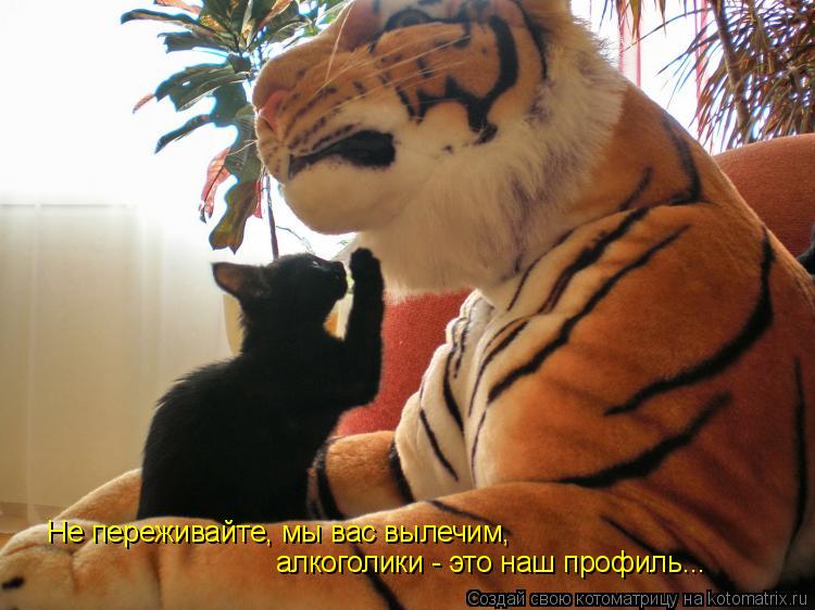 Не переживайте, мы вас вылечим, алкоголики - это наш профиль...... Котоматрица: Не переживайте, мы вас вылечим, алкоголики - это наш профиль...