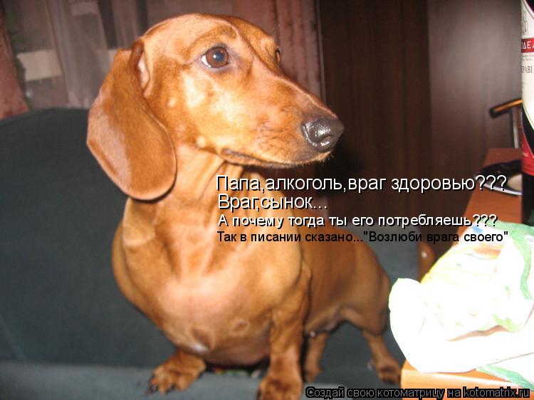 Папа,алкоголь,враг здоровью??? Враг,сынок... А почему тогда ты его потребляешь??? Так в писании сказа... Котоматрица: Папа,алкоголь,враг здоровью??? Враг,сынок... А почему тогда ты его потребляешь??? Так в писании сказано..."Возлюби врага своего"