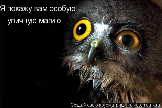 уличную магию Я покажу вам особую...... Котоматрица: уличную магию Я покажу вам особую...