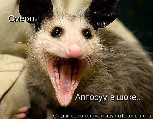 Смерть! Аппосум в шоке...... Котоматрица: Смерть! Аппосум в шоке...