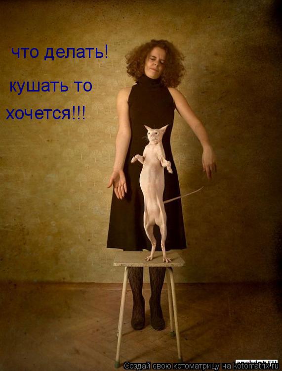 что делать! кушать то хочется!!!... Котоматрица: что делать! кушать то хочется!!!