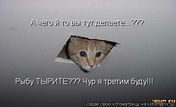А чего й то вы тут делаете...??? Рыбу ТЫРИТЕ??? Чур я третим буду!!!... Котоматрица: А чего й то вы тут делаете...??? Рыбу ТЫРИТЕ??? Чур я третим буду!!!
