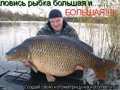 ловись рыбка большая и....... БОЛЬШАЯ!!!!... Котоматрица: ловись рыбка большая и....... БОЛЬШАЯ!!!!