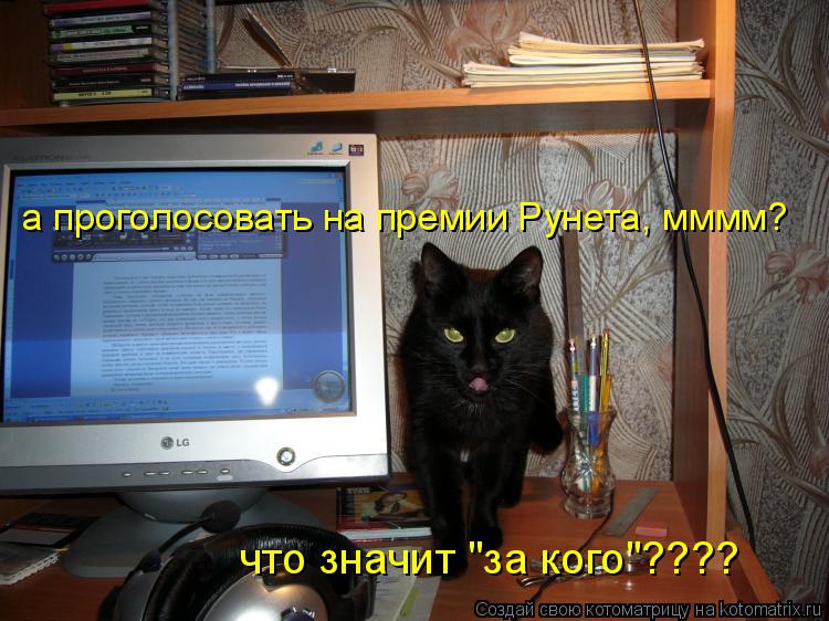 Котоматрица: а проголосовать на премии Рунета, мммм? что значит "за кого"????